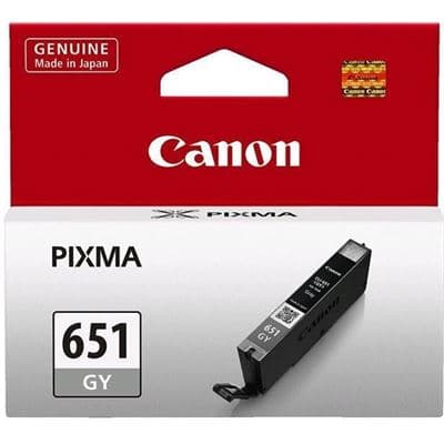 CANON CANON CL651GYOCN GRAY INK CART (STD) 2344193