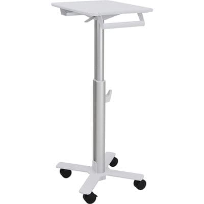 ERGOTRON ERGOTRON STYLEVIEW S-TABLET 3050960