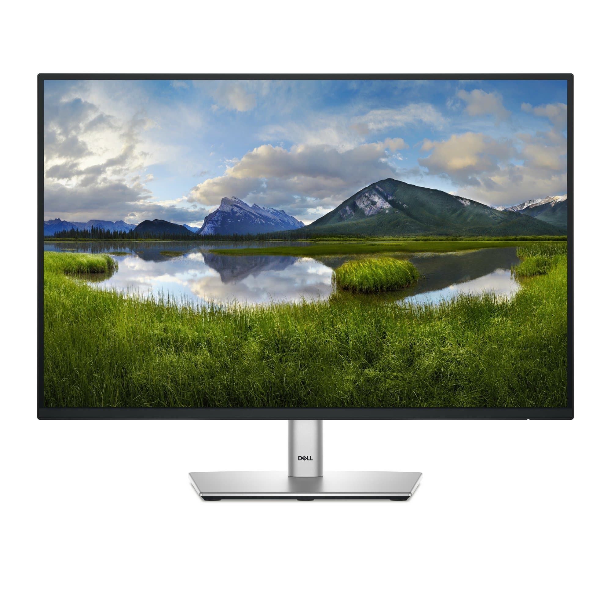 DELL DELL MONITOR P2425 6252451