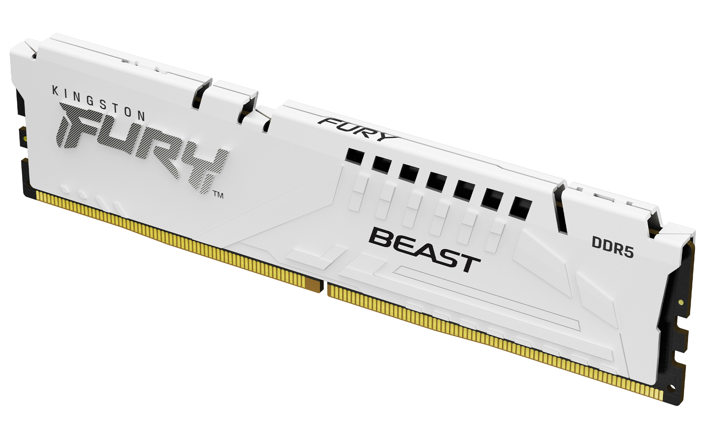 KINGSTON 16GB DDR5 6800MT/s CL34 DIMM FURY Beast — KINGSTON