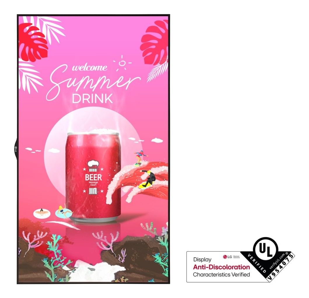 LG 55XS4P Window Facing High Brightness dis — LG