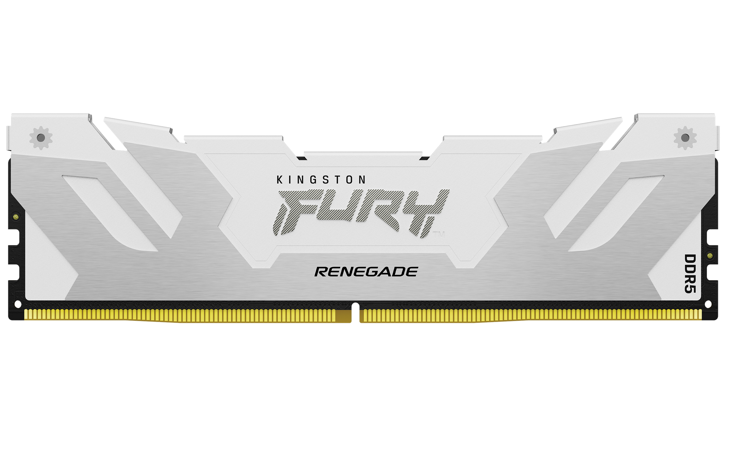 KINGSTON 24GB DDR5 8000MT/s CL38 DIMM FURY Renega — KINGSTON