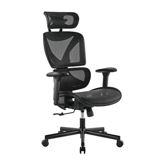 BRATECK SpineX Ergonomic Office Chair with Posture Enhancement. — Brateck