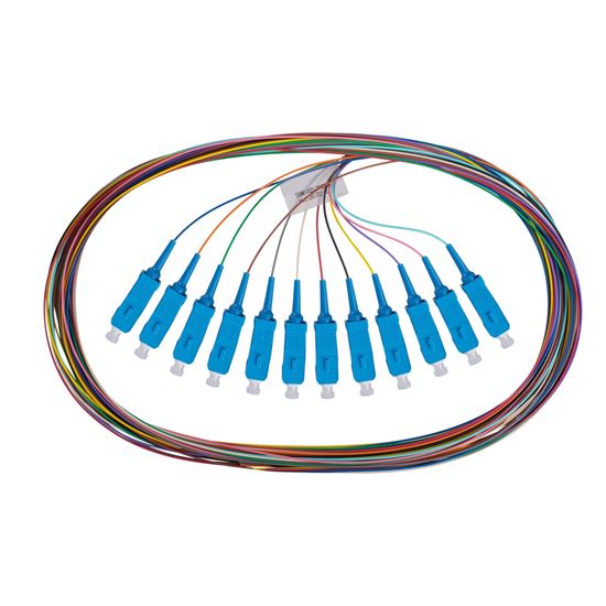 DYNAMIX 2M SC Pigtail G657A1 12 Pk Colour Coded, 900um Single-mode — Dynamix