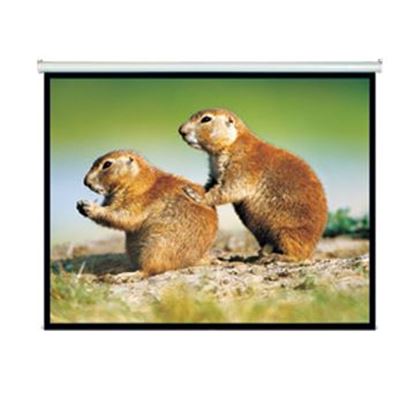 150'' Projector Screen Manual Self Locking Matte 4:3 Aspect ratio — Dynamix