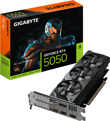 Gigabyte GV-N5050OC-8GL RTX5050 Low Profile 8G Graphics Card — Gigabyte